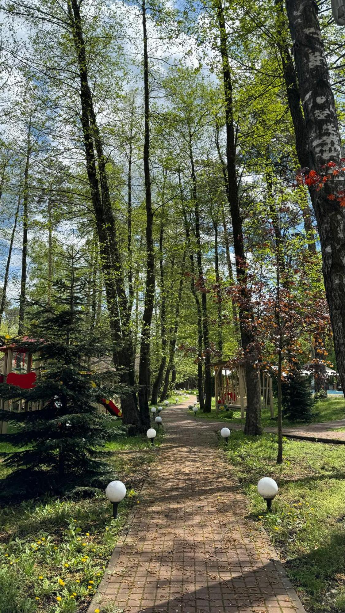 Tysha Forest Club Romankiv Exterior foto
